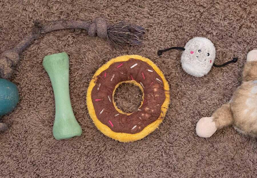 How to Clean Dog Toys Keeping You and Your Pet Safe and active